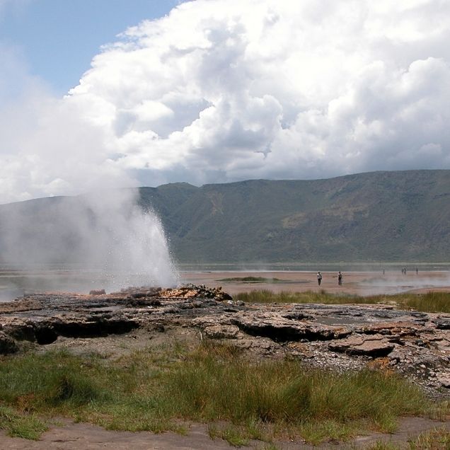 Lake bogoria