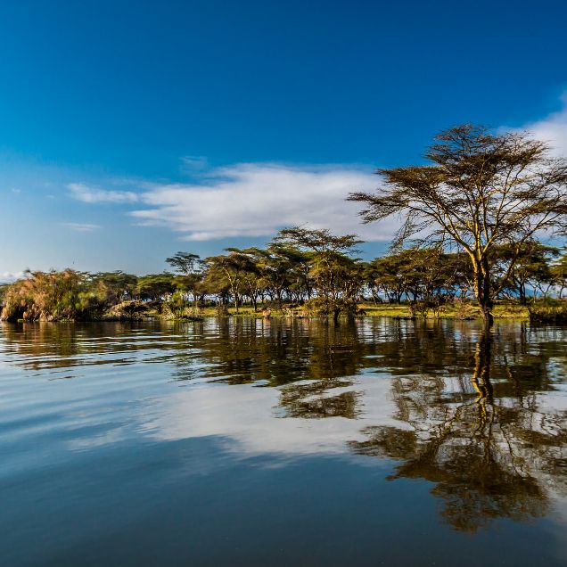 lake naivasha (2)