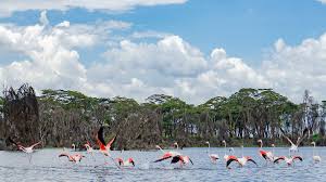lake naivasha-o
