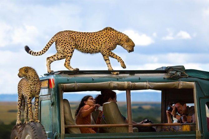 maasai mara tourist