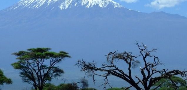 Amboseli