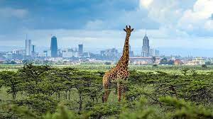 Nairobi National Park